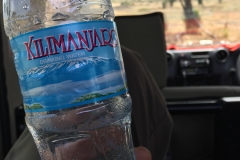 Kilimanjaro Water