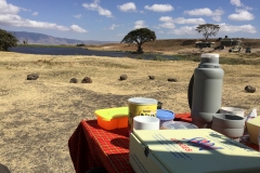 Lunch in the Ngorongor Crater