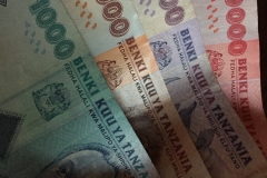 Tanzanian Moolah