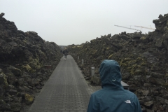 Path to the Blue Lagoon