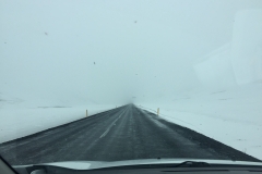 Tundra