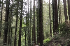 Washington Park