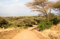 Lake Manyara road