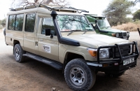 Gosheni Landcruiser