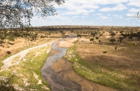 Tarangire