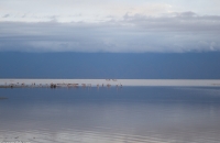 Lake Manyara