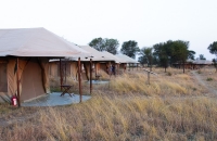 More Kenzan camp
