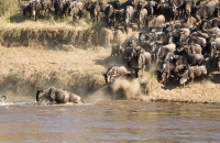 more river crossings