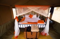 Kenzan Camp Tent