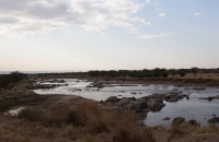 The Mara River